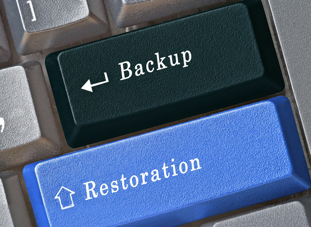 Sunucu, Veri Depolama ve Yedekleme